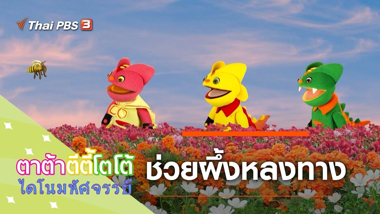 ช่วยผึ้งหลงทาง