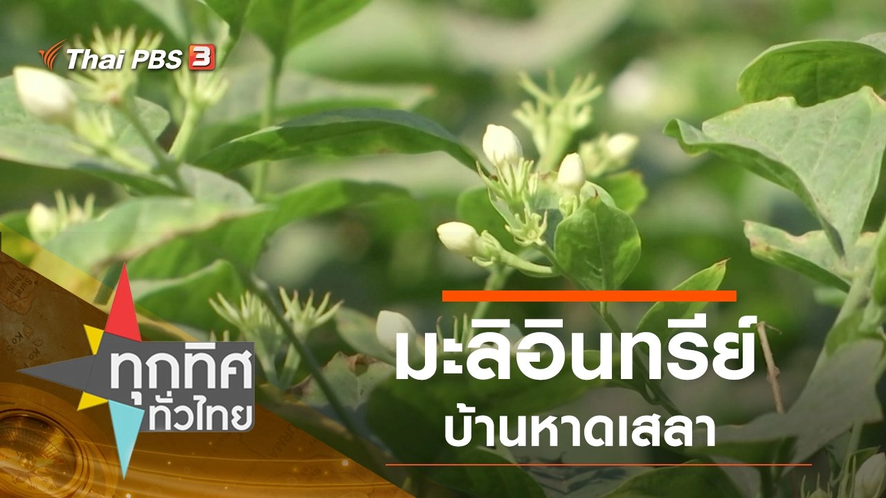 ประเด็นข่าว (16 มี.ค. 63)