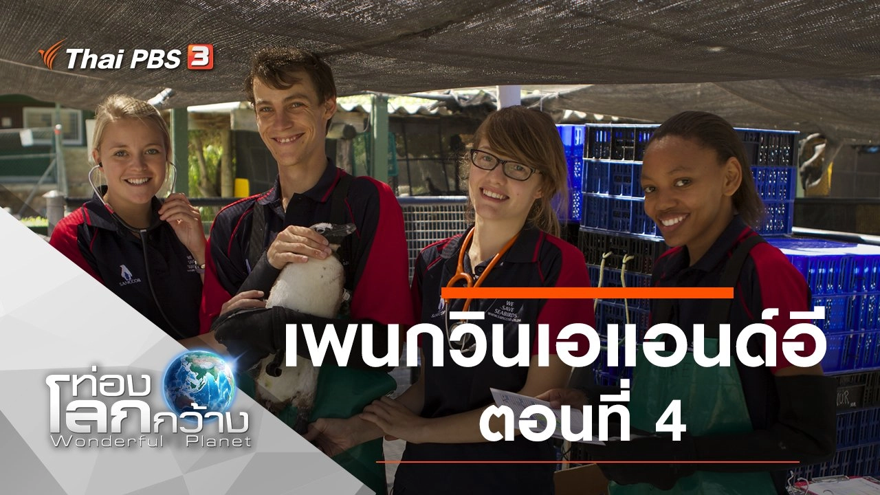 เพนกวินเอแอนด์อี ตอนที่ 4