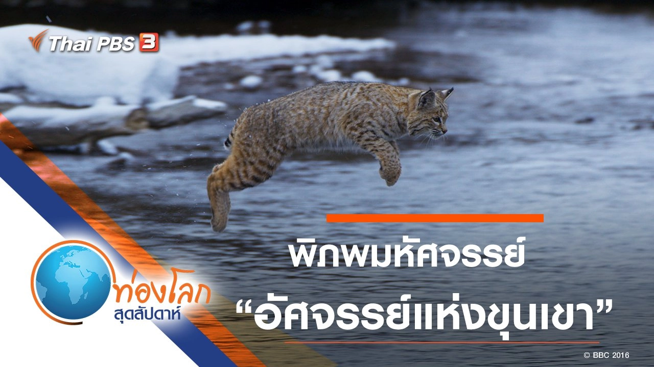 พิภพมหัศจรรย์ ตอน อัศจรรย์แห่งพงไพร