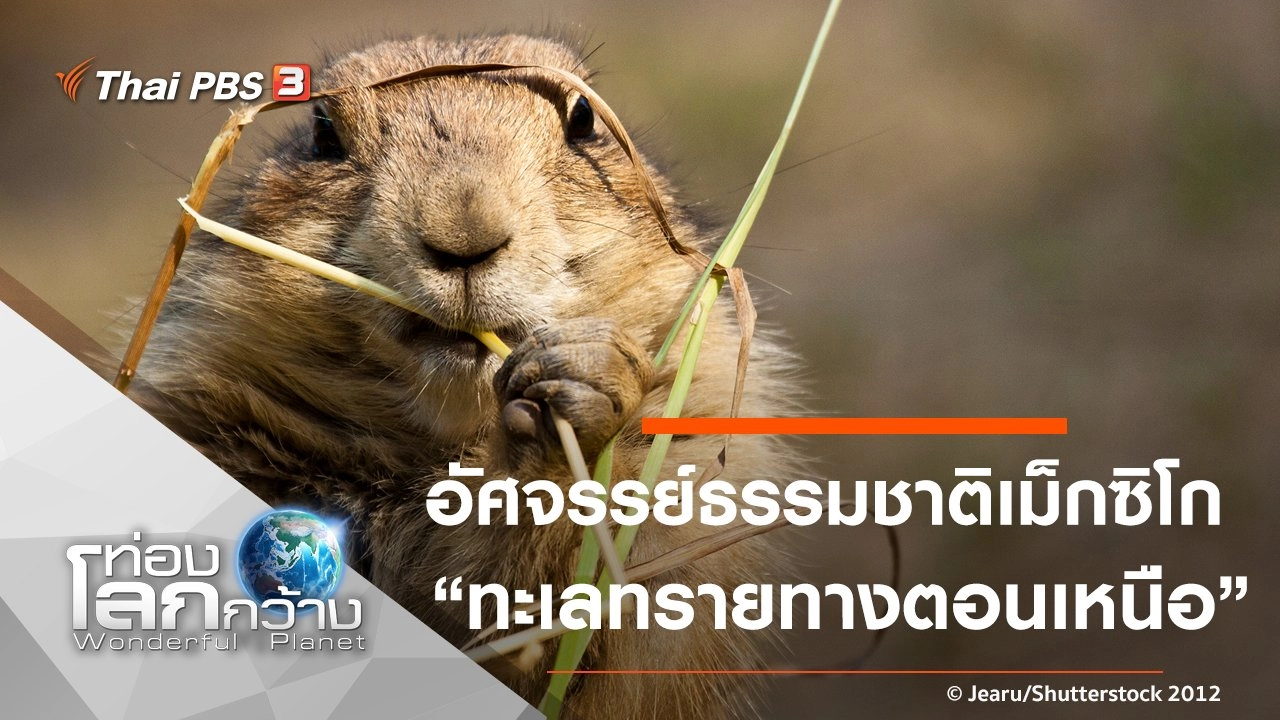 อัศจรรย์ธรรมชาติเม็กซิโก ตอน ทะเลทรายทางตอนเหนือ