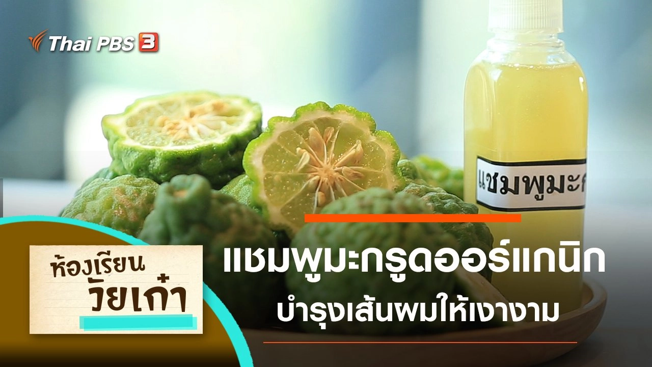 แชมพูมะกรูดออร์แกนิก