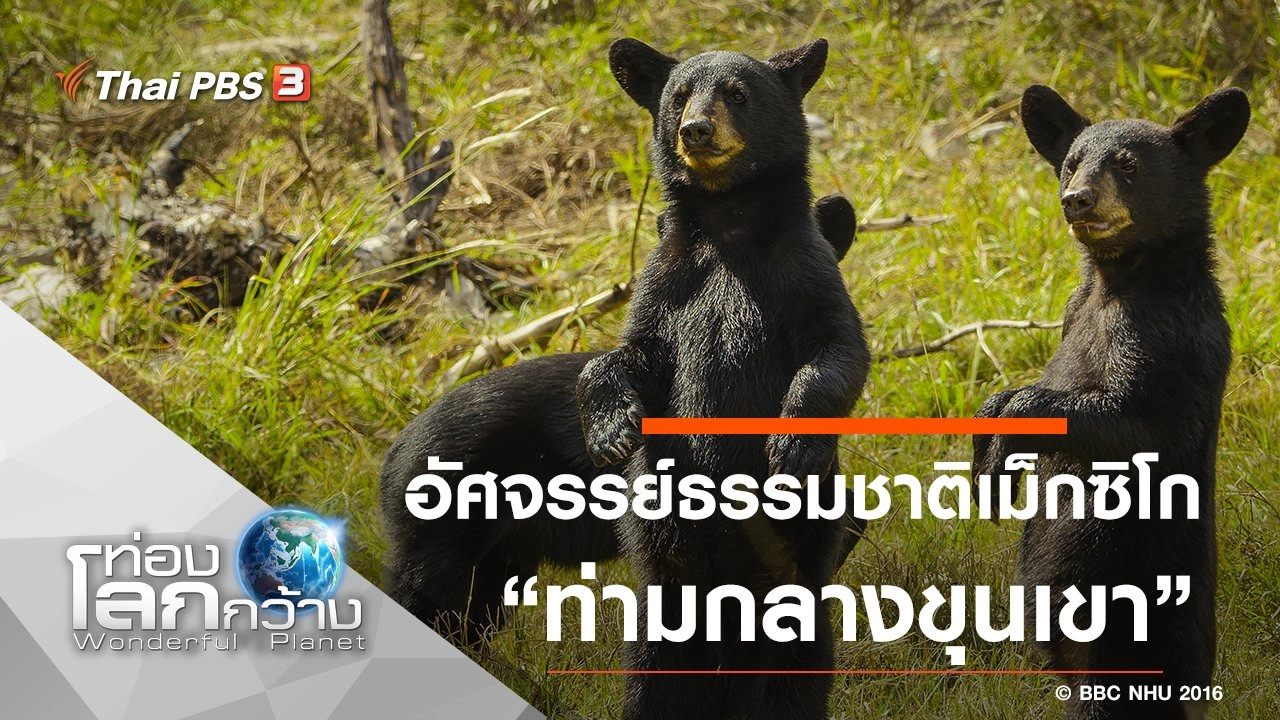 อัศจรรย์ธรรมชาติเม็กซิโก ตอน ท่ามกลางขุนเขา