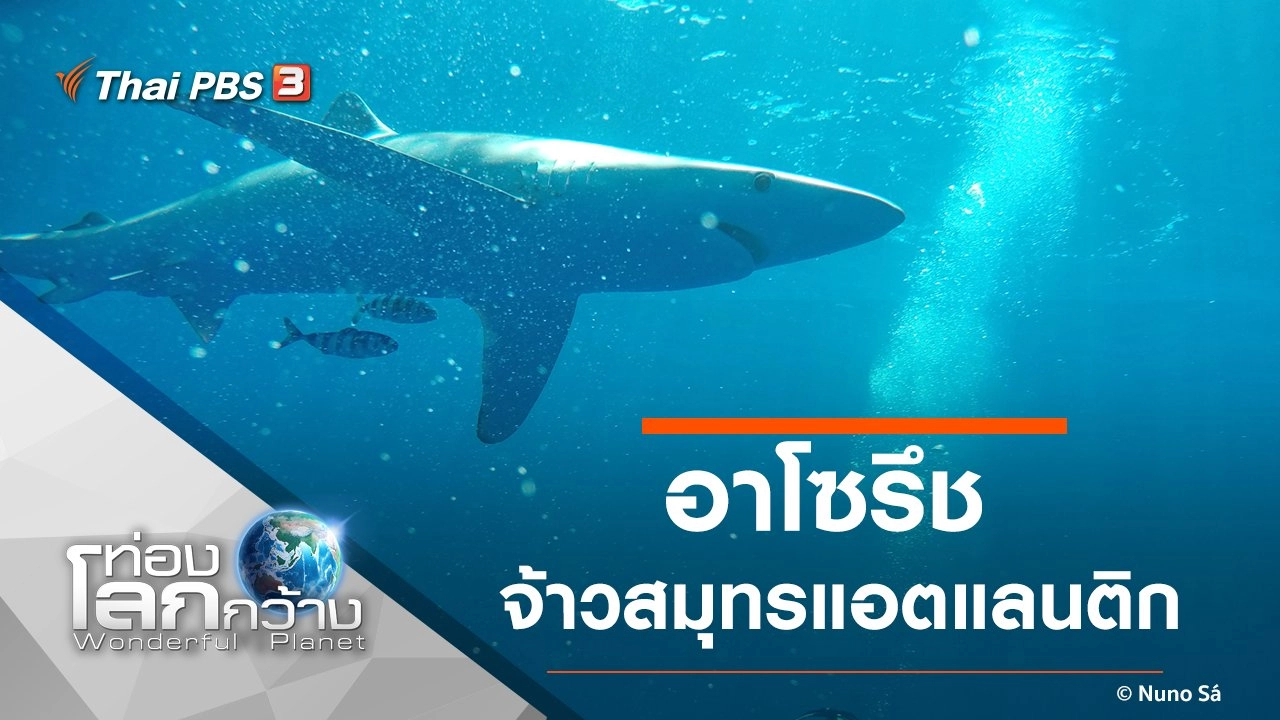 อาโซรึช จ้าวสมุทรแอตแลนติก