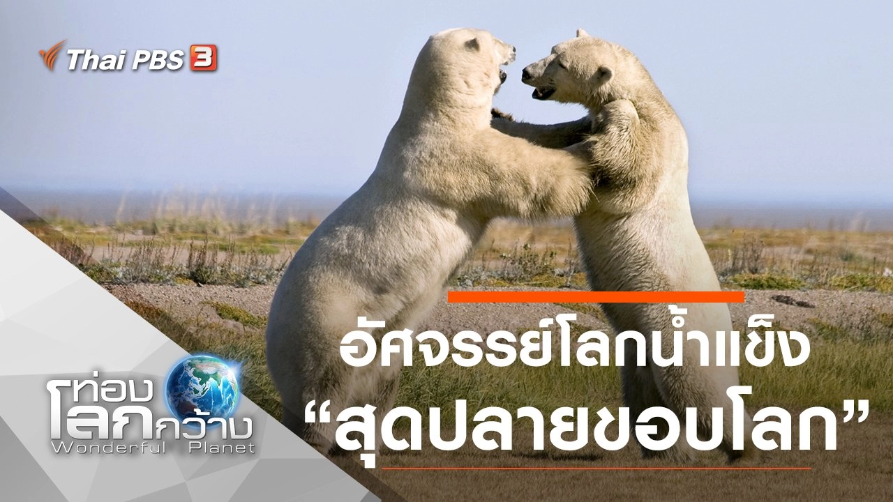 อัศจรรย์โลกน้ำแข็ง ตอน สุดปลายขอบโลก