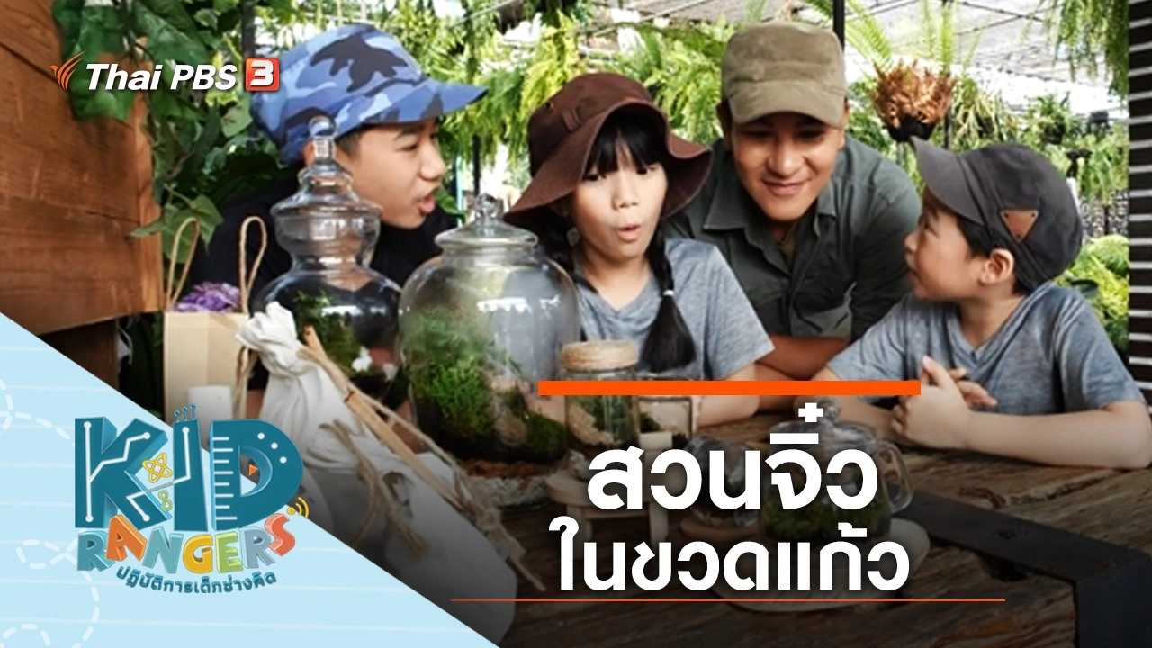 สวนจิ๋วในขวดแก้ว