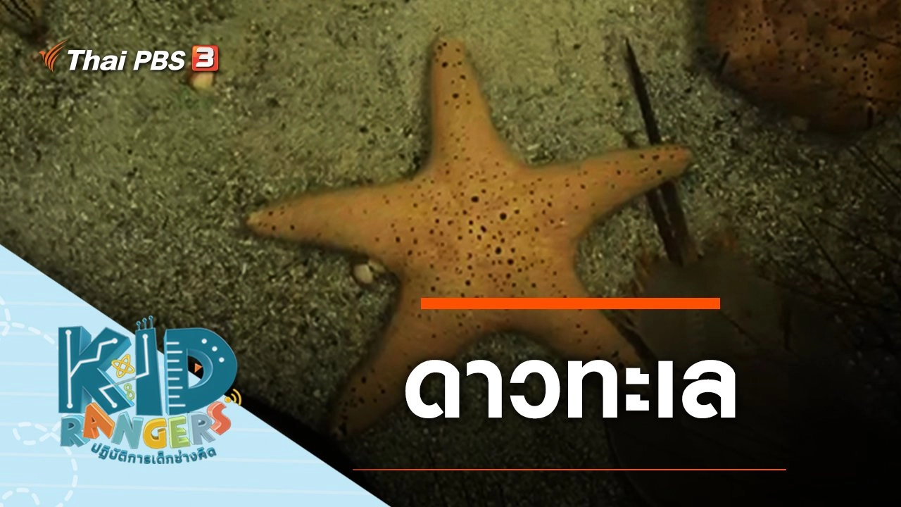 ดาวทะเล