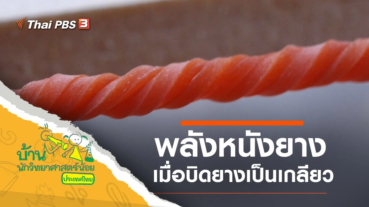 พลังหนังยาง