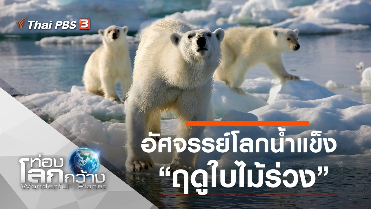 อัศจรรย์โลกน้ำแข็ง ตอน ฤดูใบไม้ร่วง