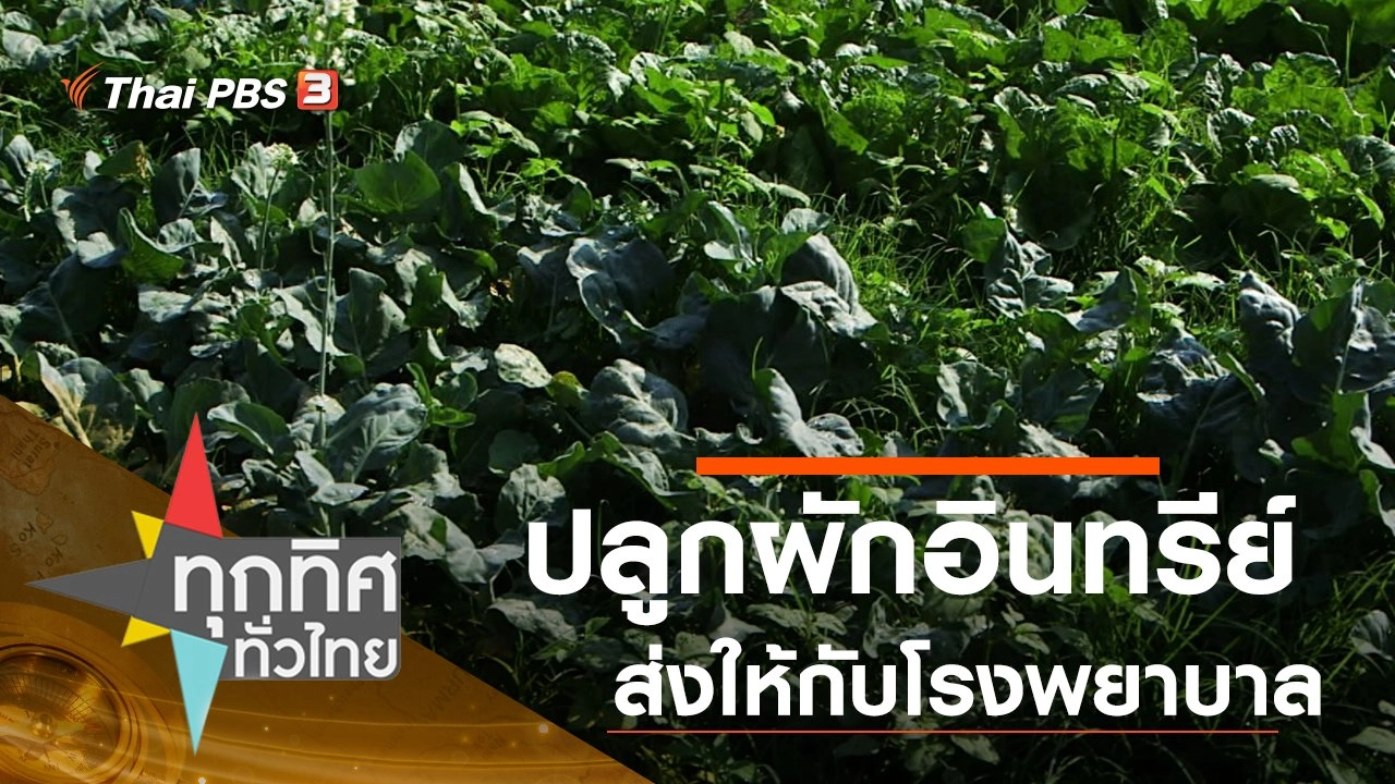 ประเด็นข่าว (13 เม.ย. 63)