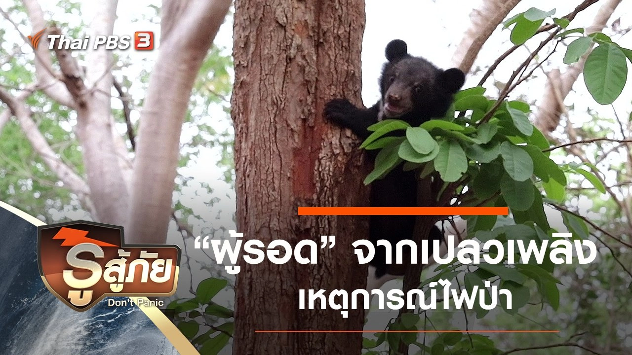 "ผู้รอด" จากเปลวเพลิง