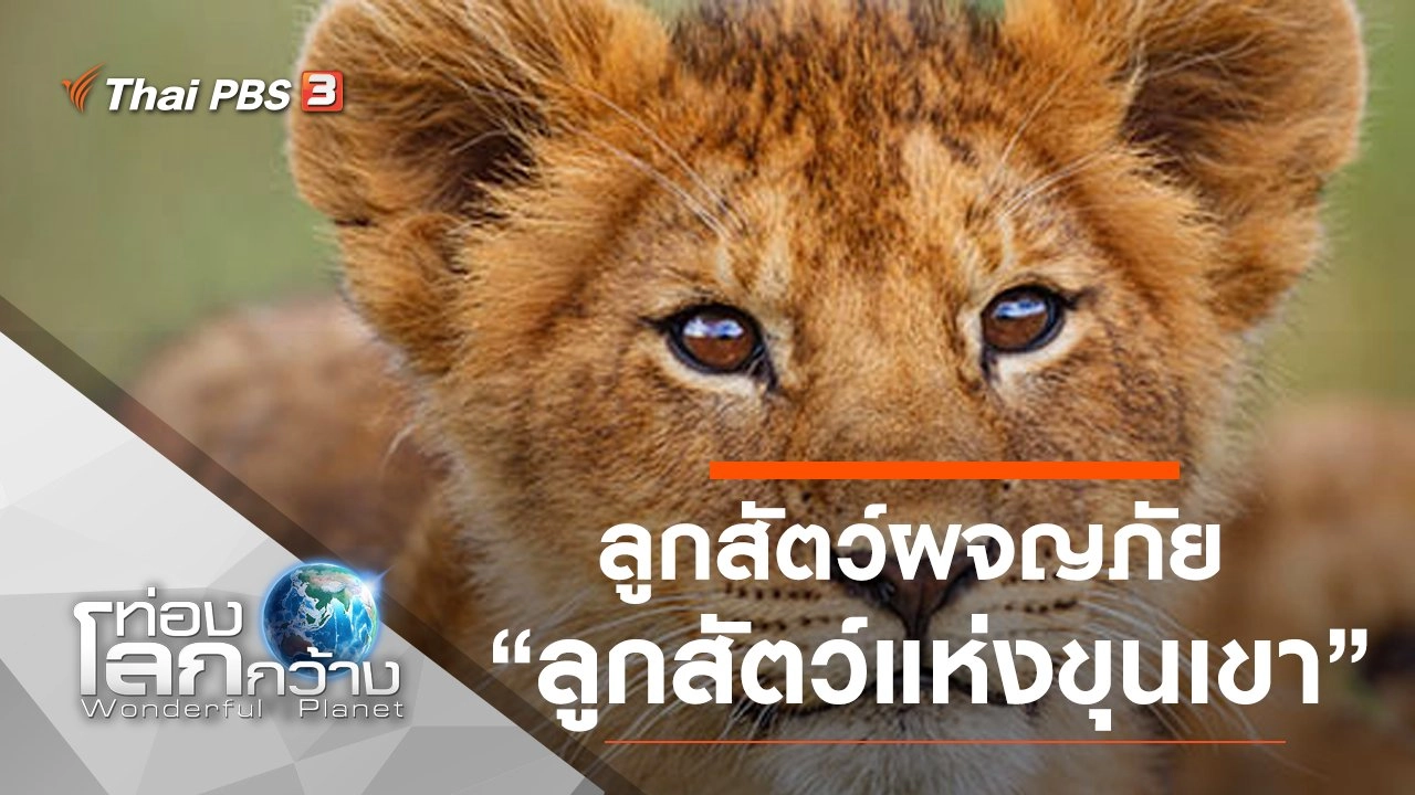 ลูกสัตว์ผจญภัย ตอน ลูกสัตว์แห่งขุนเขา