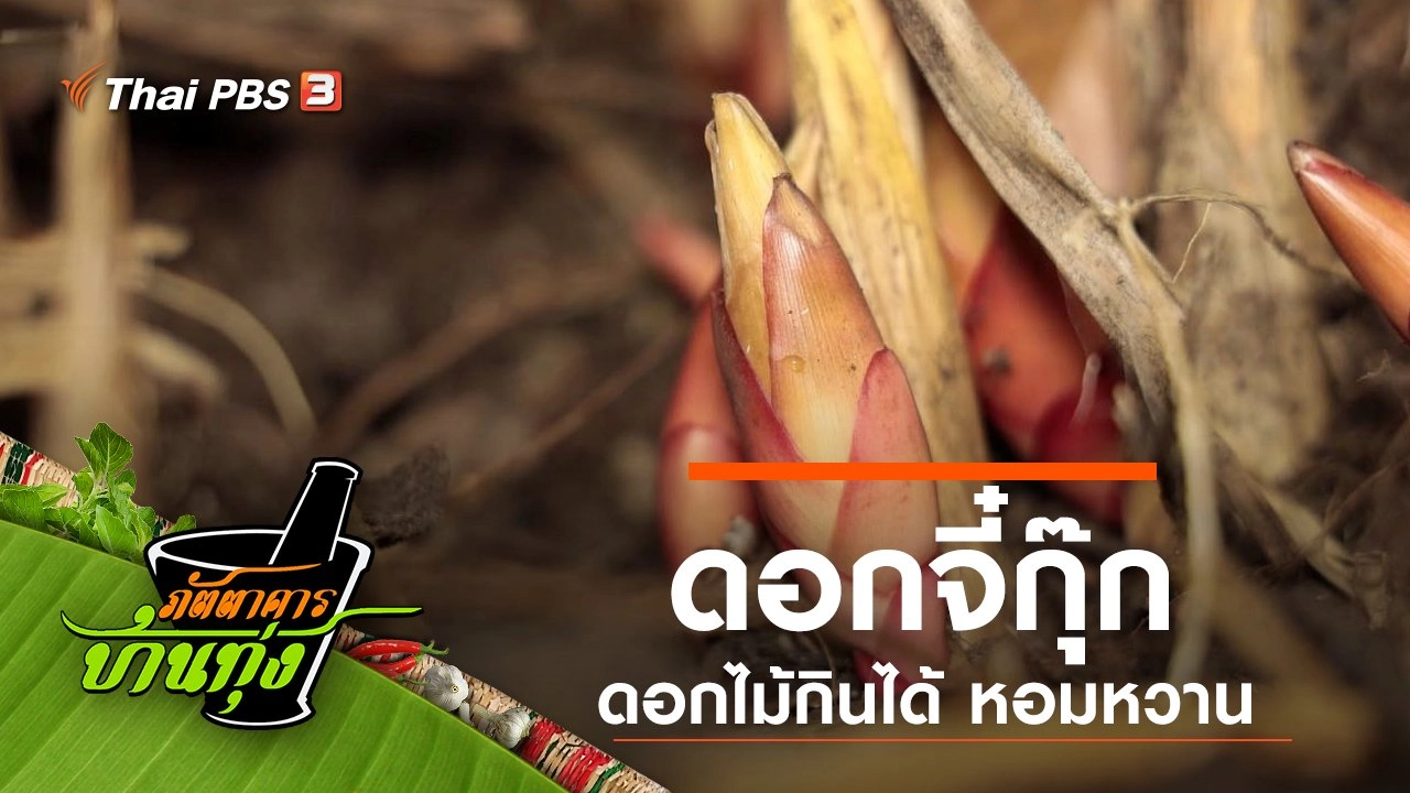 ดอกจี๋กุ๊ก