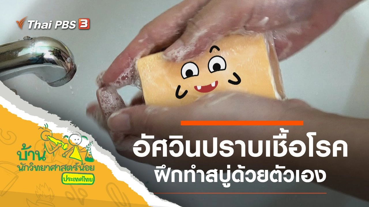 อัศวินปราบเชื้อโรค