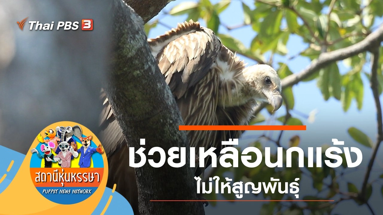 ป่าแร้ง