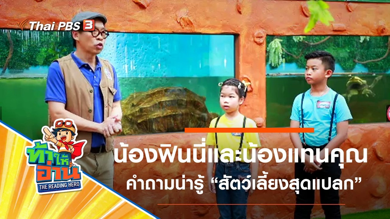 สัตว์เลี้ยงสุดแปลก : น้องฟินนี่​และน้องแทนคุณ