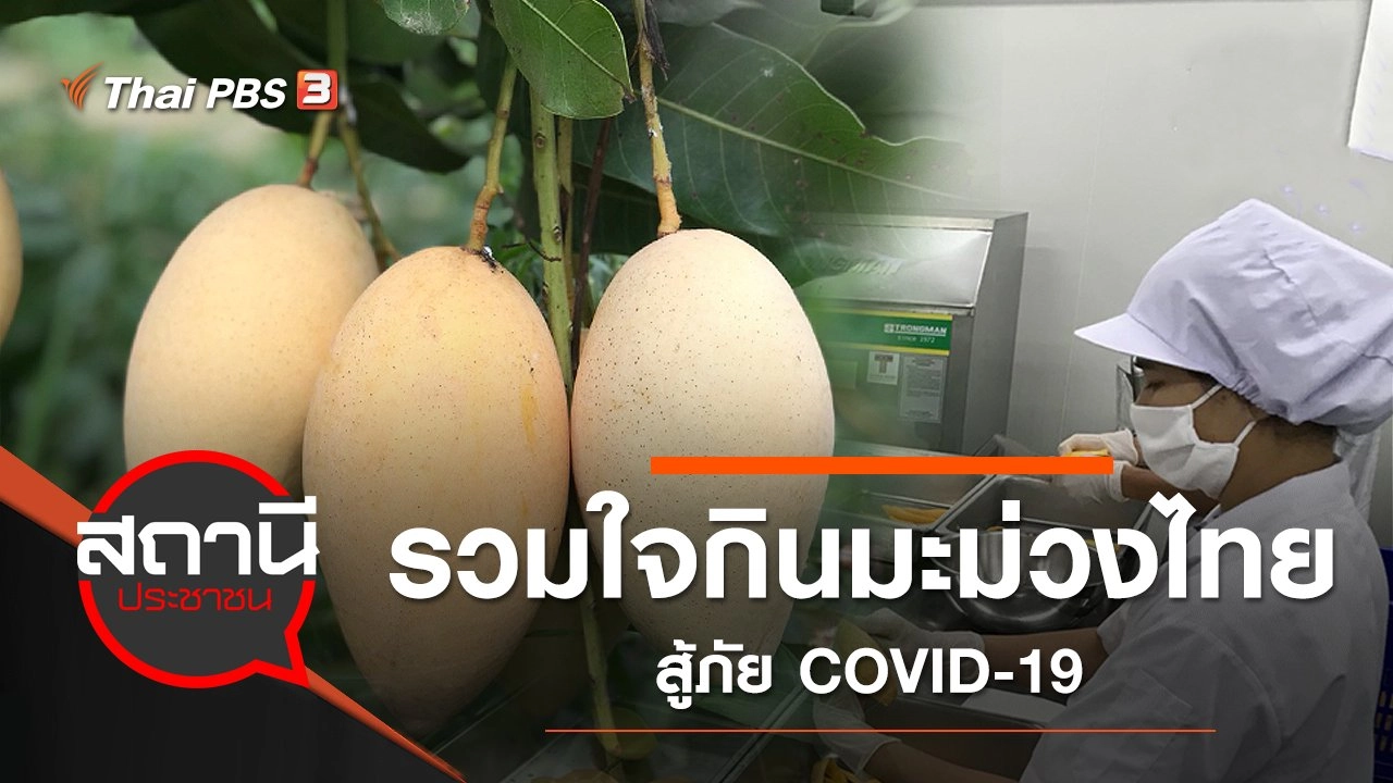รวมใจกินมะม่วงไทย สู้ภัย COVID-19