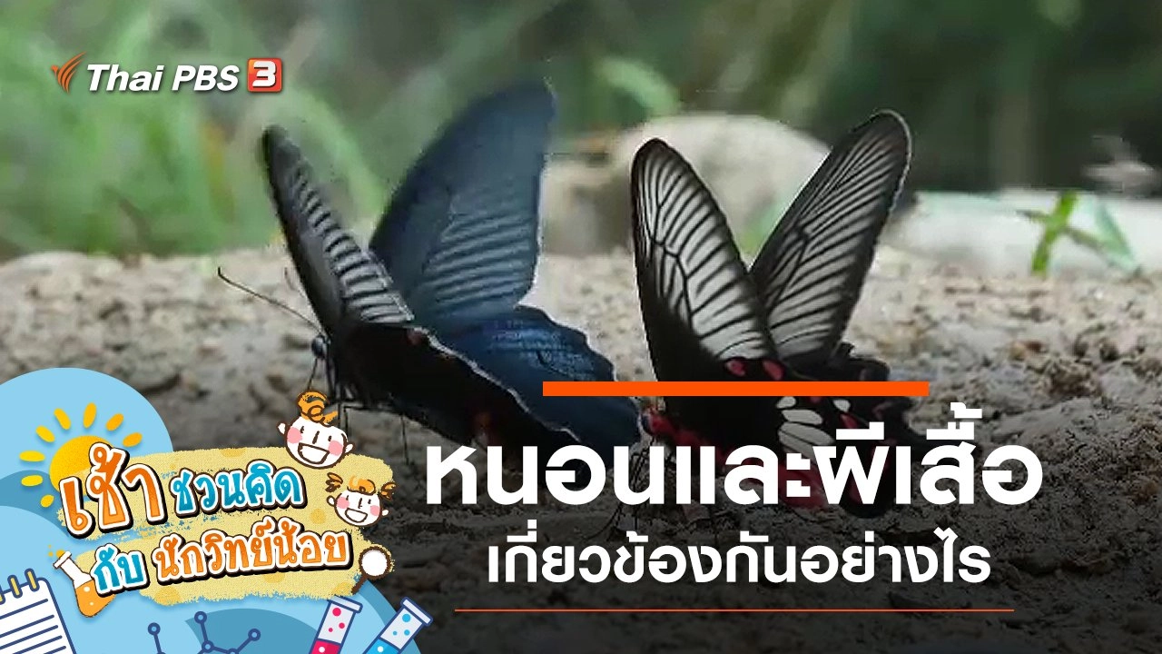 เช้าชวนคิด กับนักวิทย์น้อย