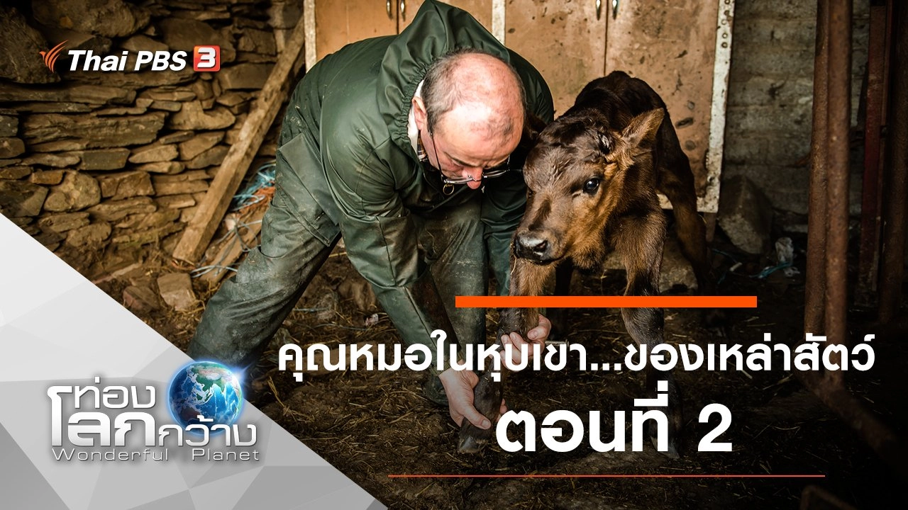 คุณหมอในหุบเขา...ของเหล่าสัตว์ ตอนที่ 2