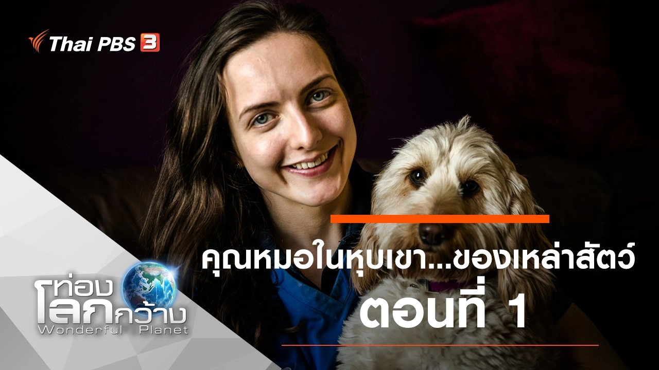 คุณหมอในหุบเขา...ของเหล่าสัตว์ ตอนที่ 1