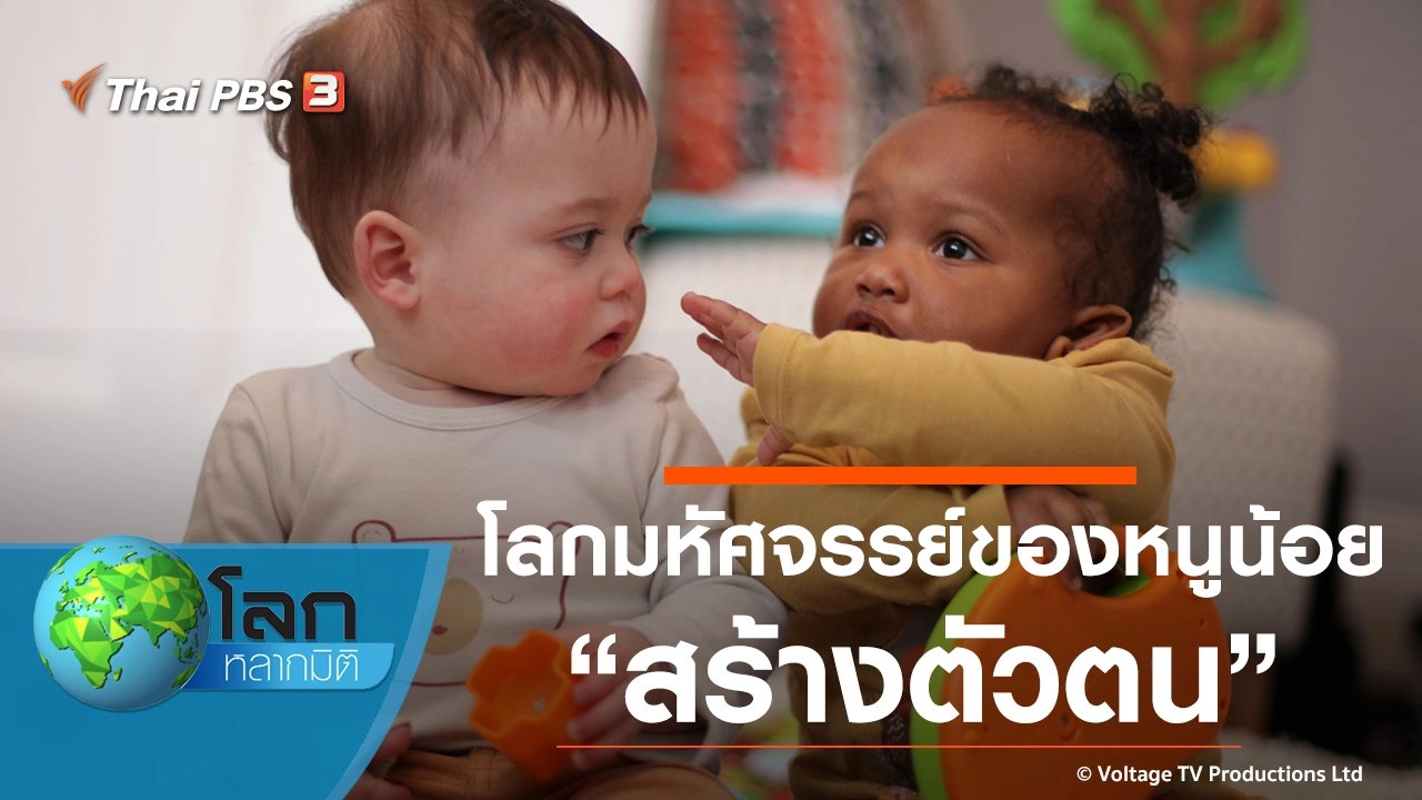 โลกมหัศจรรย์ของหนูน้อย ตอน สร้างตัวตน