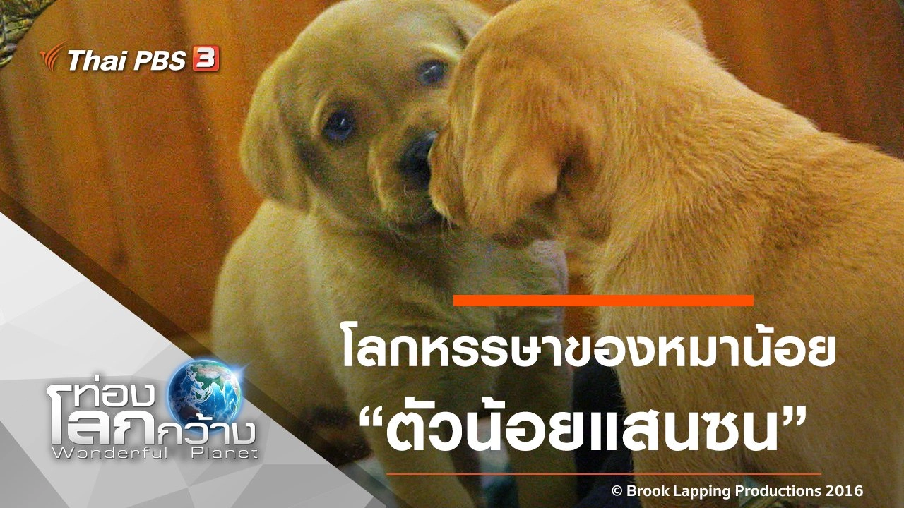 โลกหรรษาของหมาน้อย ภาค 2 ตอนที่ 3