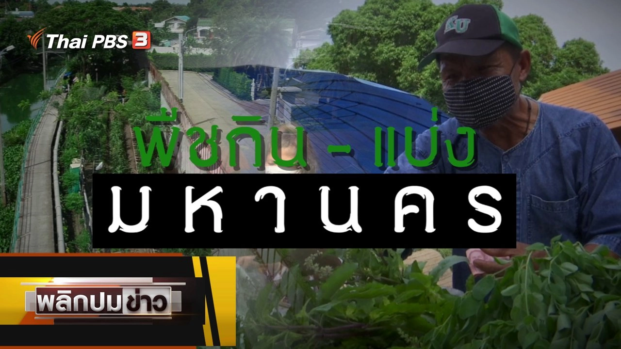 พืชกิน - แบ่ง มหานคร