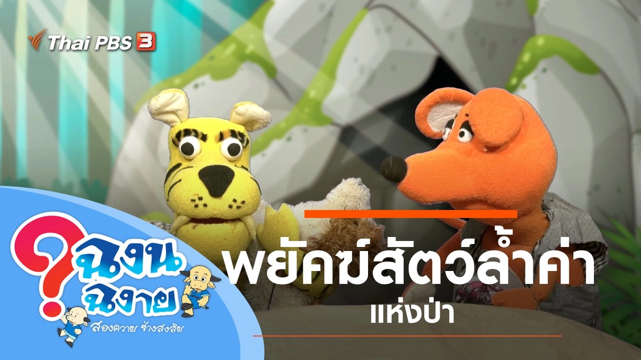 พยัคฆ์สัตว์ล้ำค่าแห่งป่า