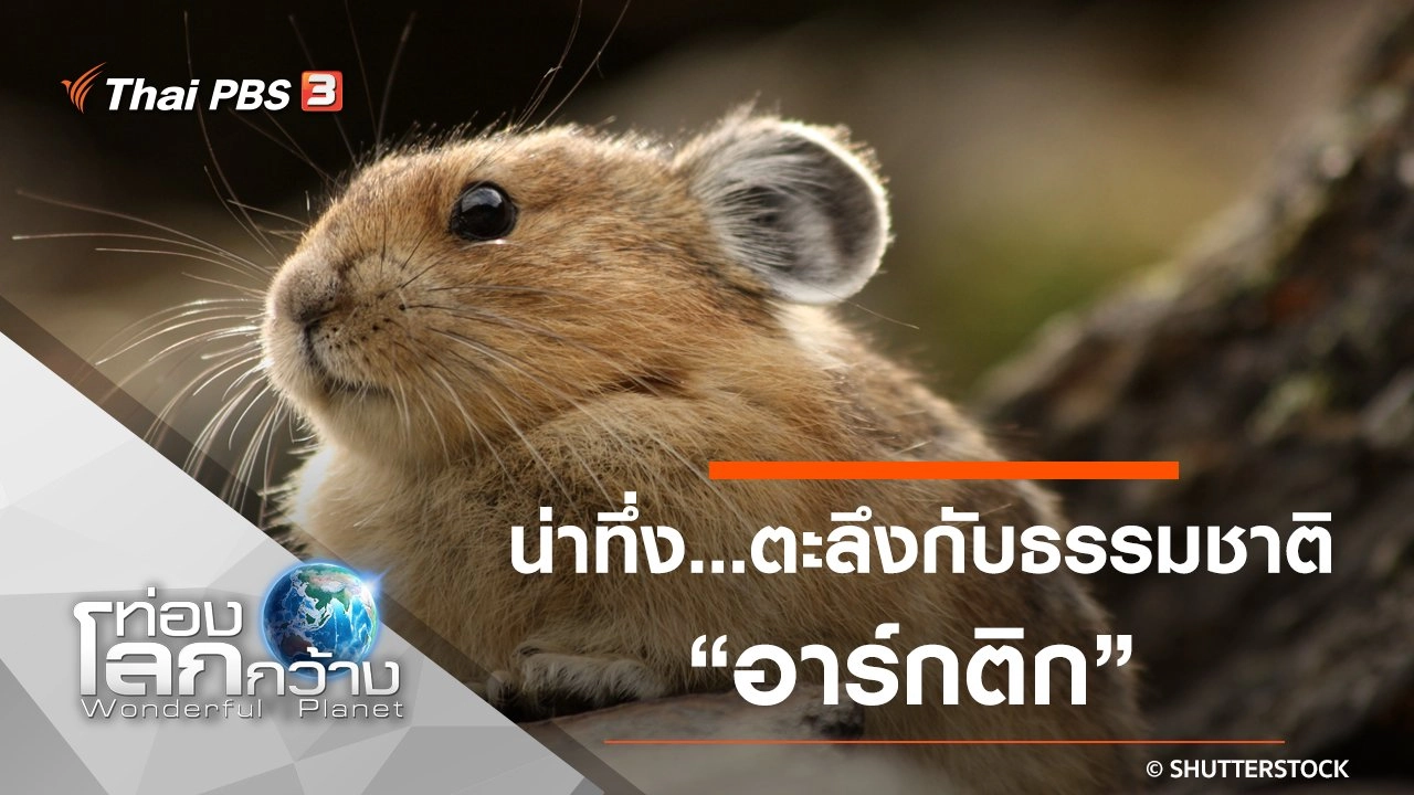 น่าทึ่ง...ตะลึงกับธรรมชาติ ตอน อาร์กติก และเยลโลว์สโตน