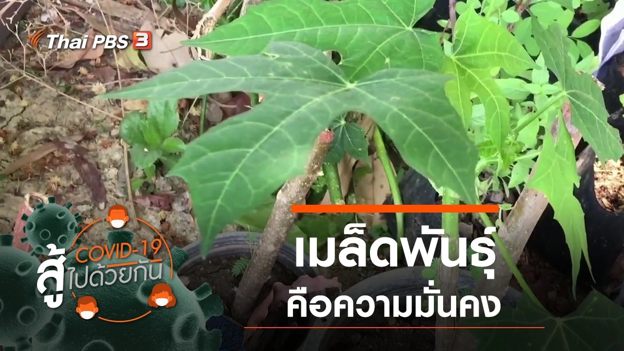 เมล็ดพันธุ์คือความมั่นคง