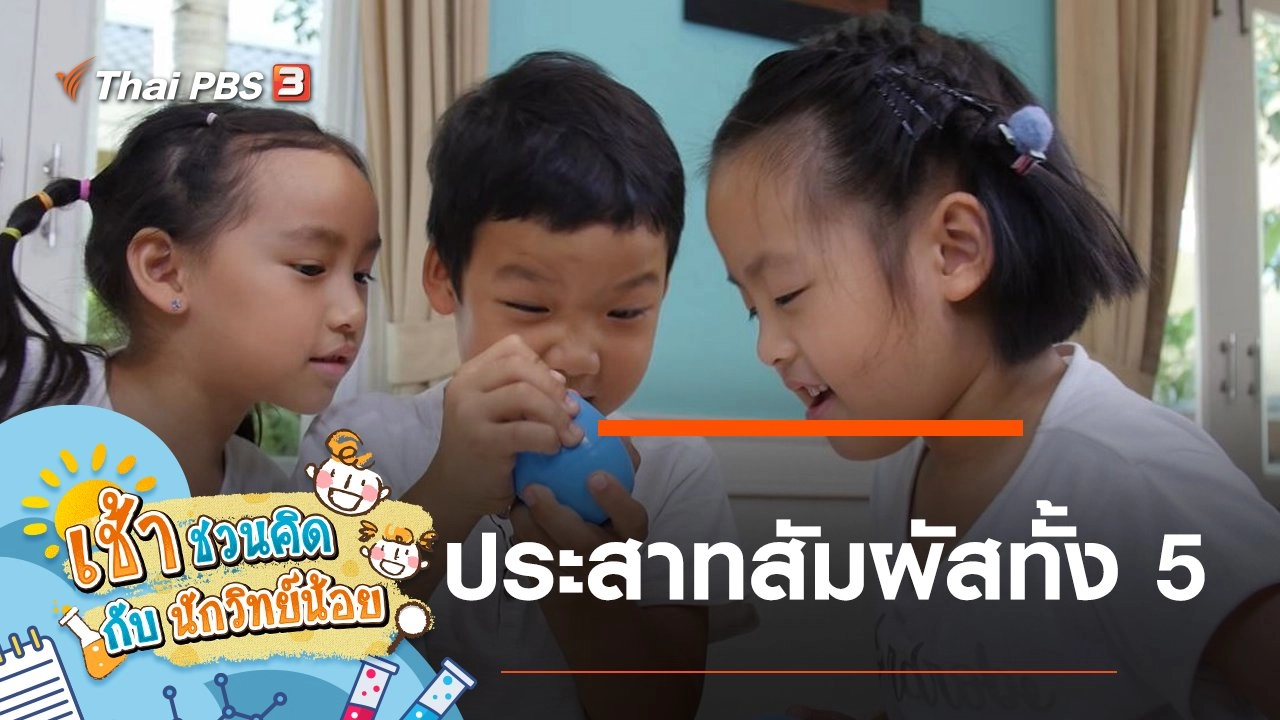 ประสาทสัมผัสทั้ง 5