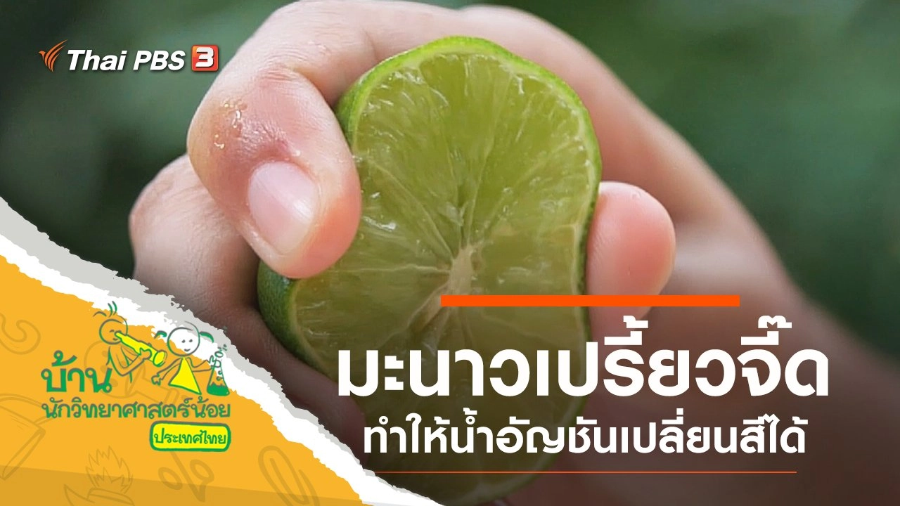 มะนาวเปรี้ยวจี๊ด