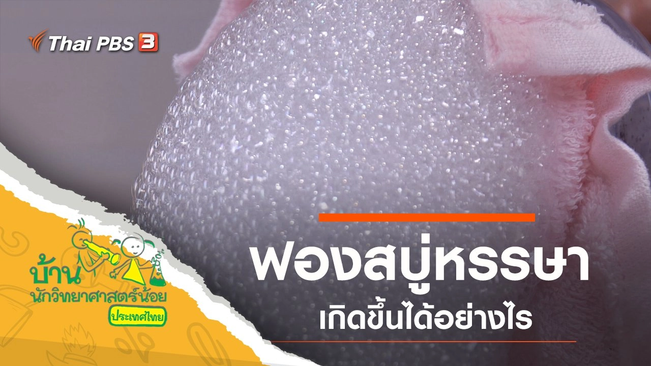 ฟองสบู่หรรษา