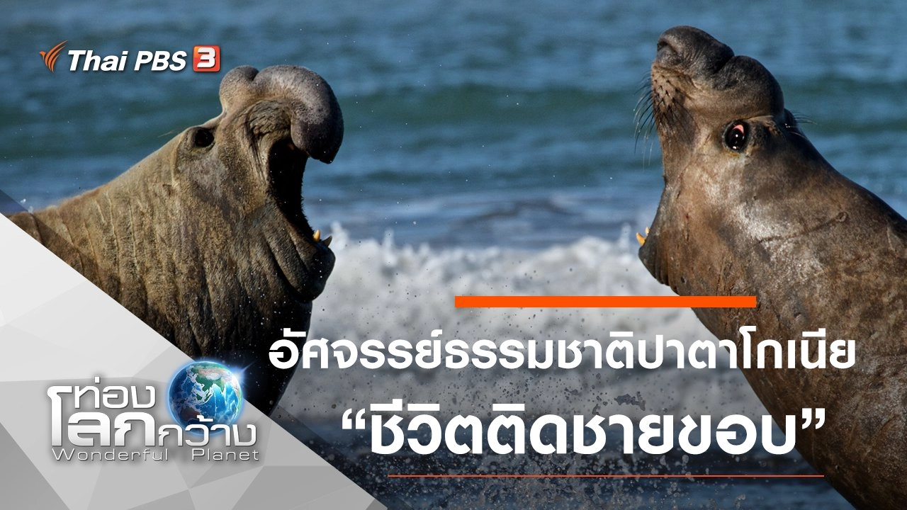 อัศจรรย์ธรรมชาติปาตาโกเนีย ตอน ชีวิตติดชายขอบ