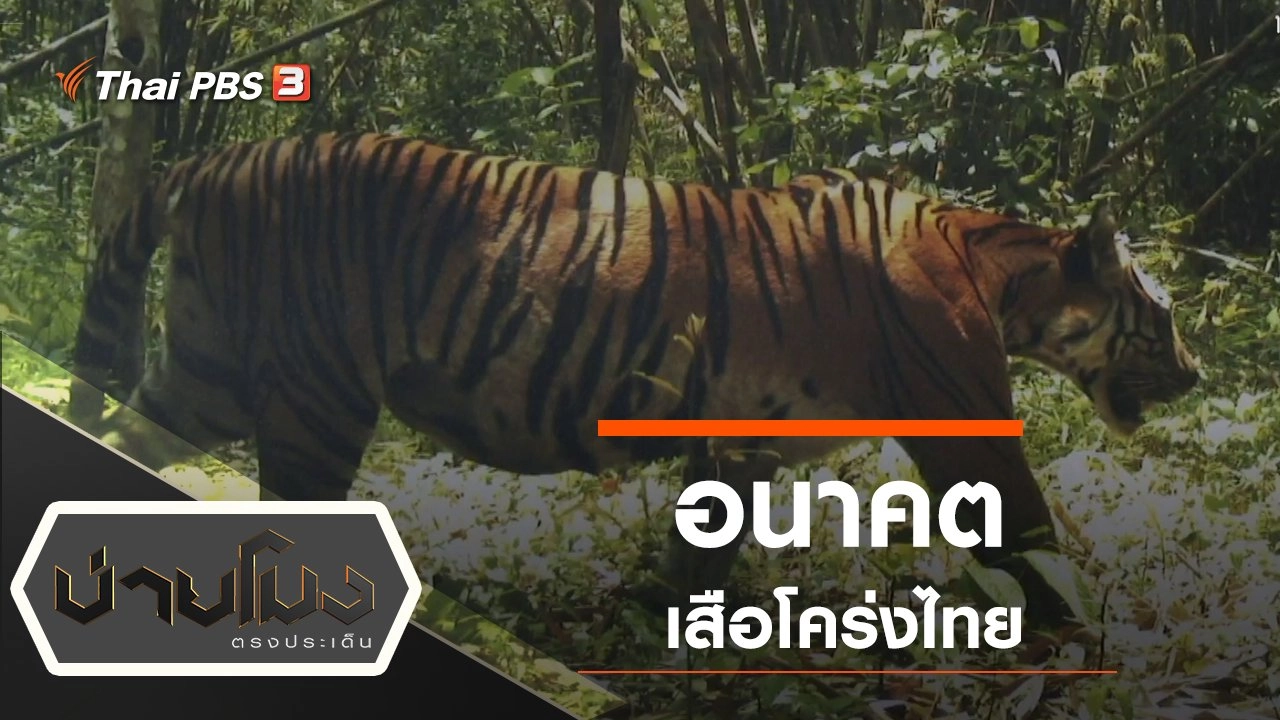 ประเด็นข่าว (29 ก.ค. 63)