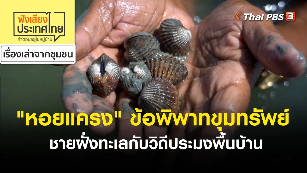 "หอยแครง" ข้อพิพาทขุมทรัพย์ชายฝั่งทะเลกับวิถีประมงพื้นบ้าน
