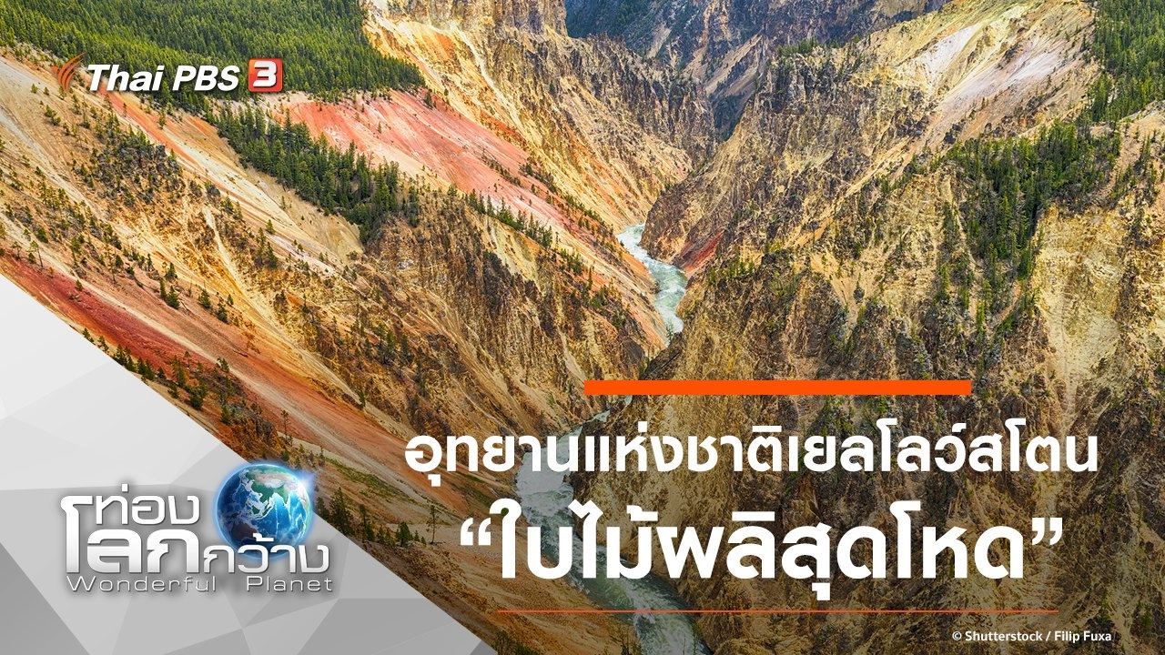 อุทยานแห่งชาติเยลโลว์สโตน ตอน ใบไม้ผลิสุดโหด