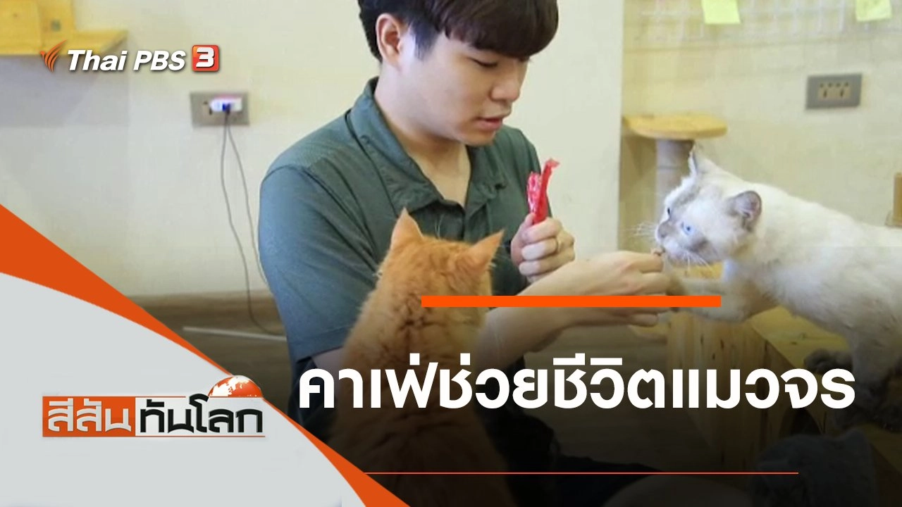 สีสันทันโลก