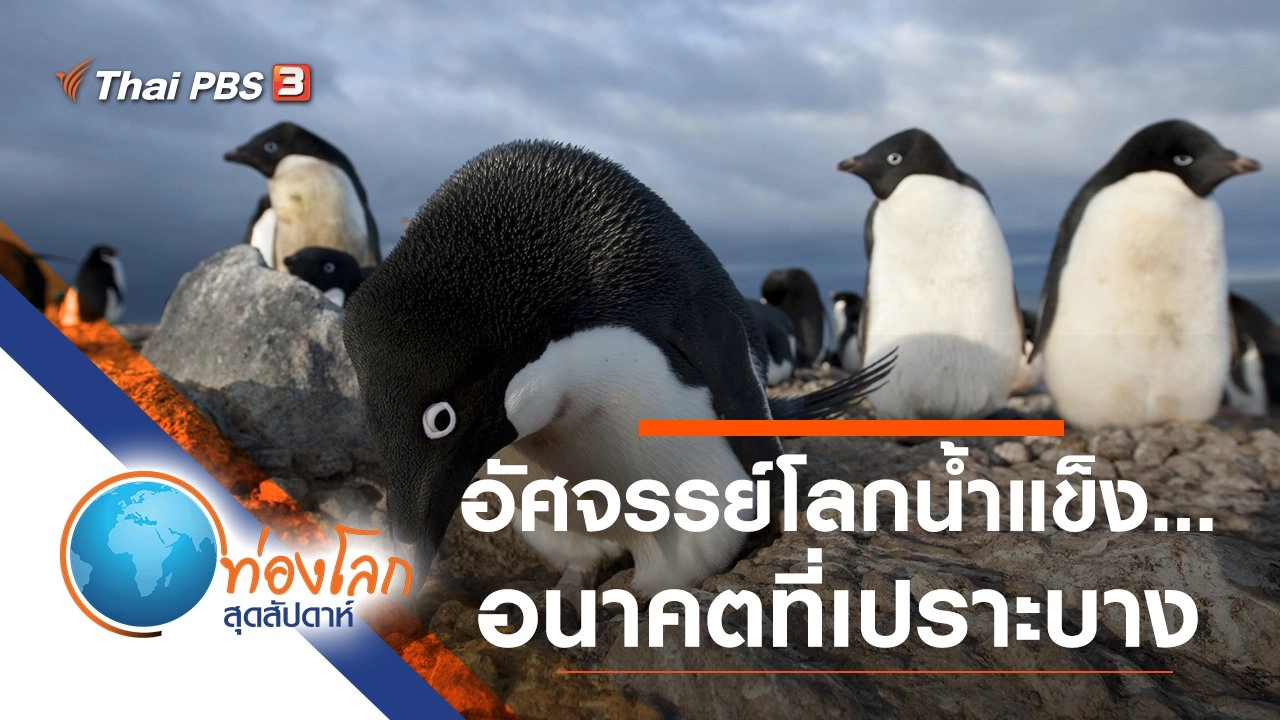 อัศจรรย์โลกน้ำแข็ง...อนาคตที่เปราะบาง