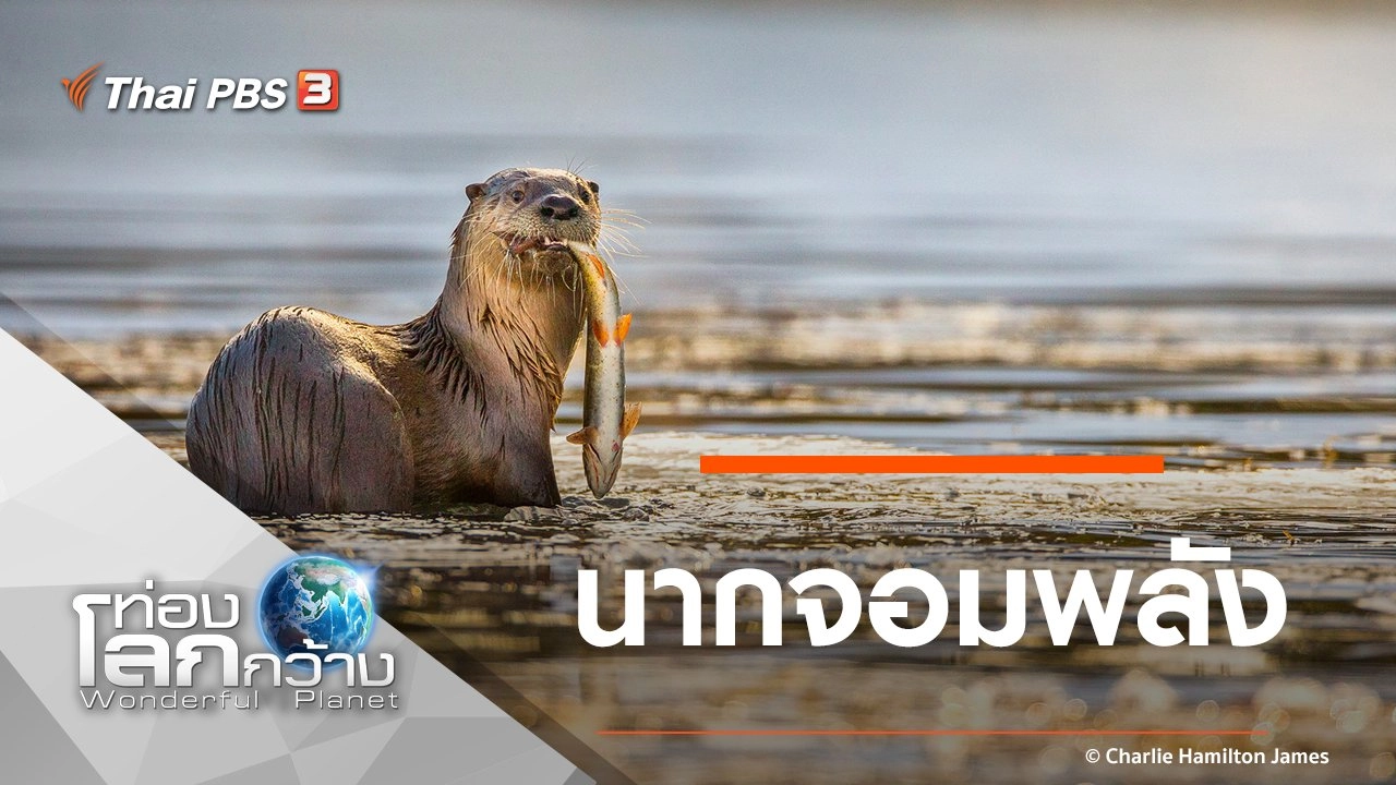 นากจอมพลัง