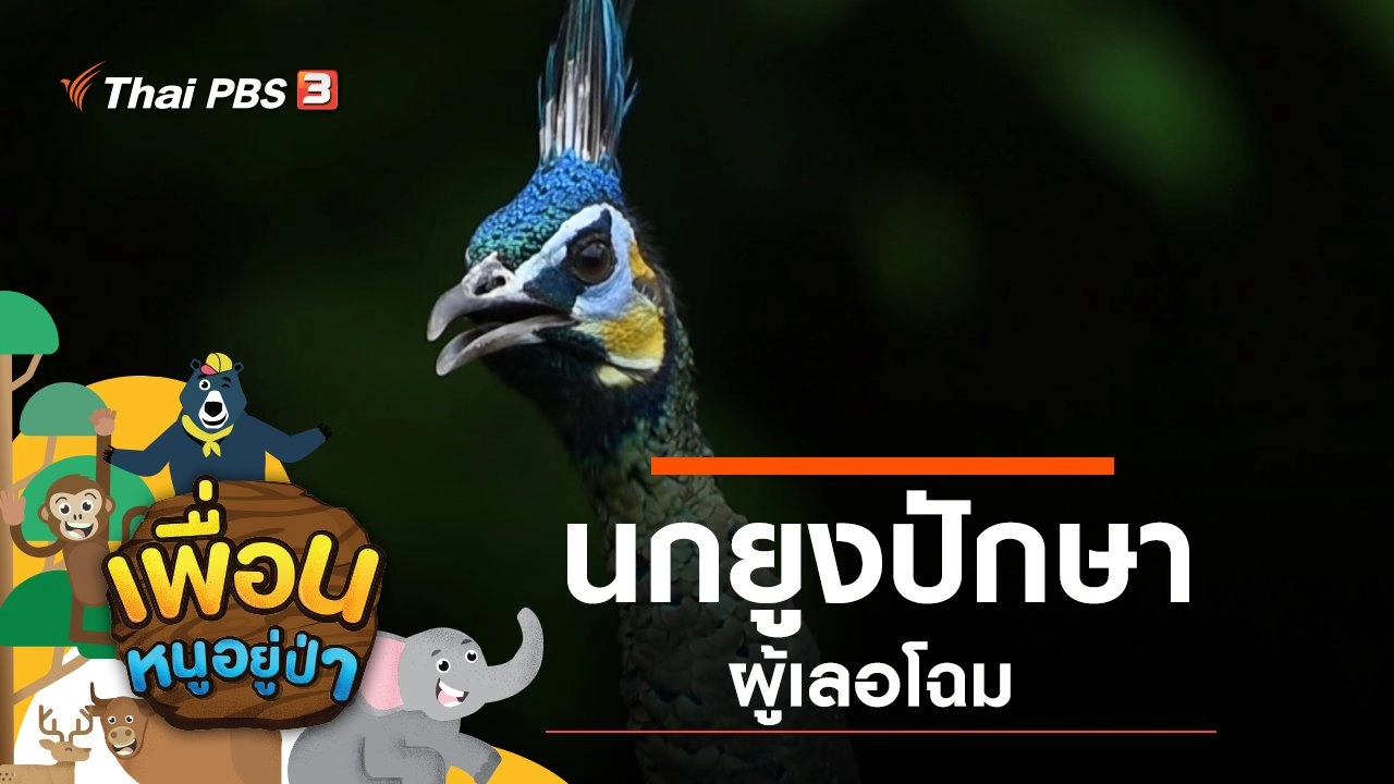 นกยูงปักษาผู้เลอโฉม