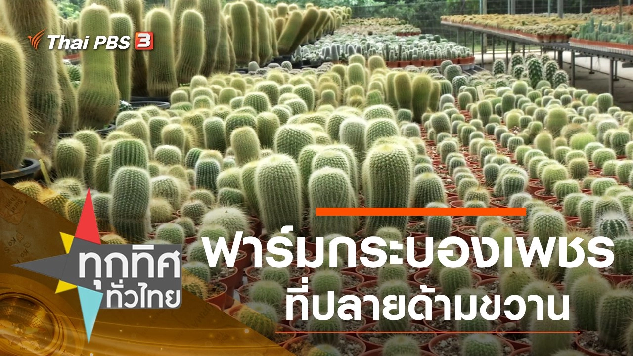 ทุกทิศทั่วไทย