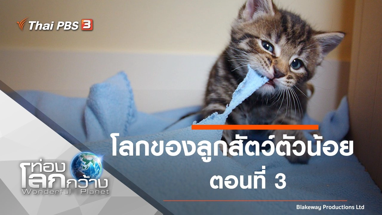 โลกของลูกสัตว์ตัวน้อย ตอนที่ 3