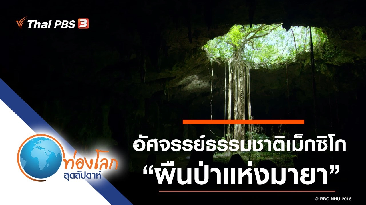 อัศจรรย์ธรรมชาติเม็กซิโก ตอน ผืนป่าแห่งมายา