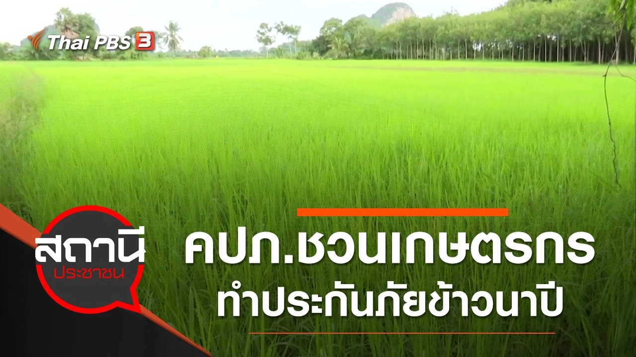 คปภ.ชวนเกษตรกรภาคใต้ทำประกันภัยข้าวนาปี