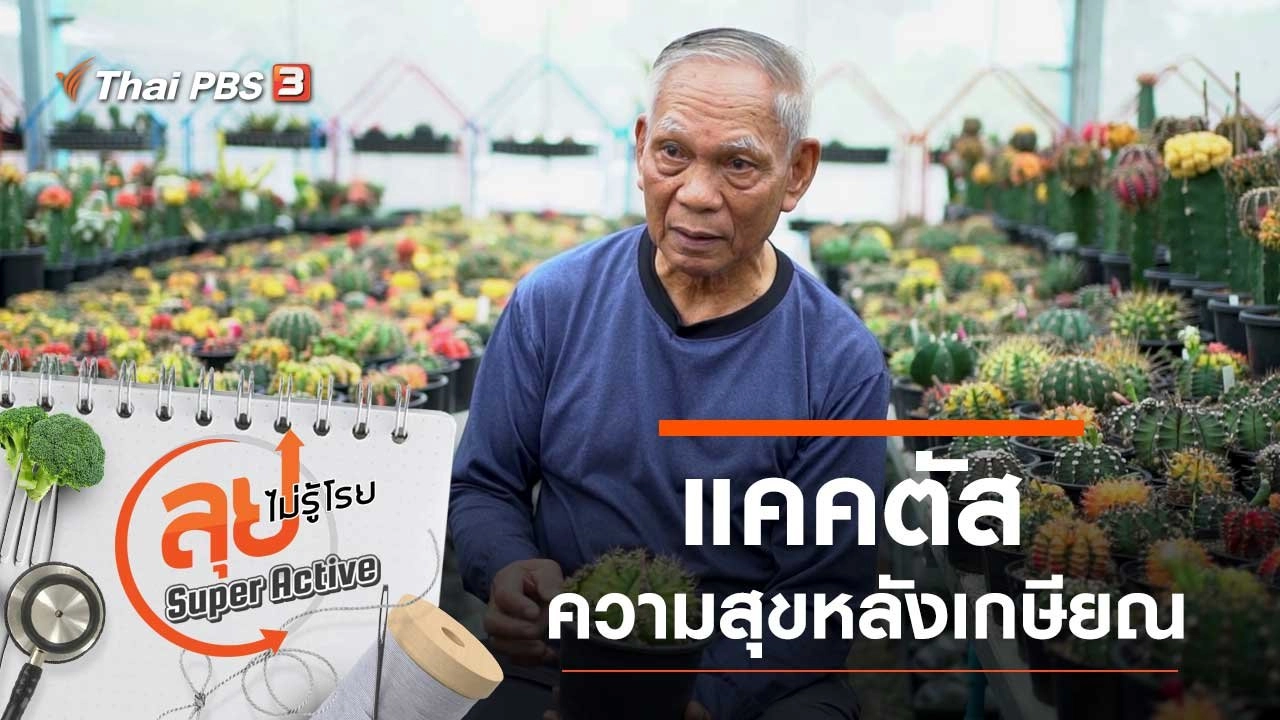 แคคตัส ความสุขหลังเกษียณ