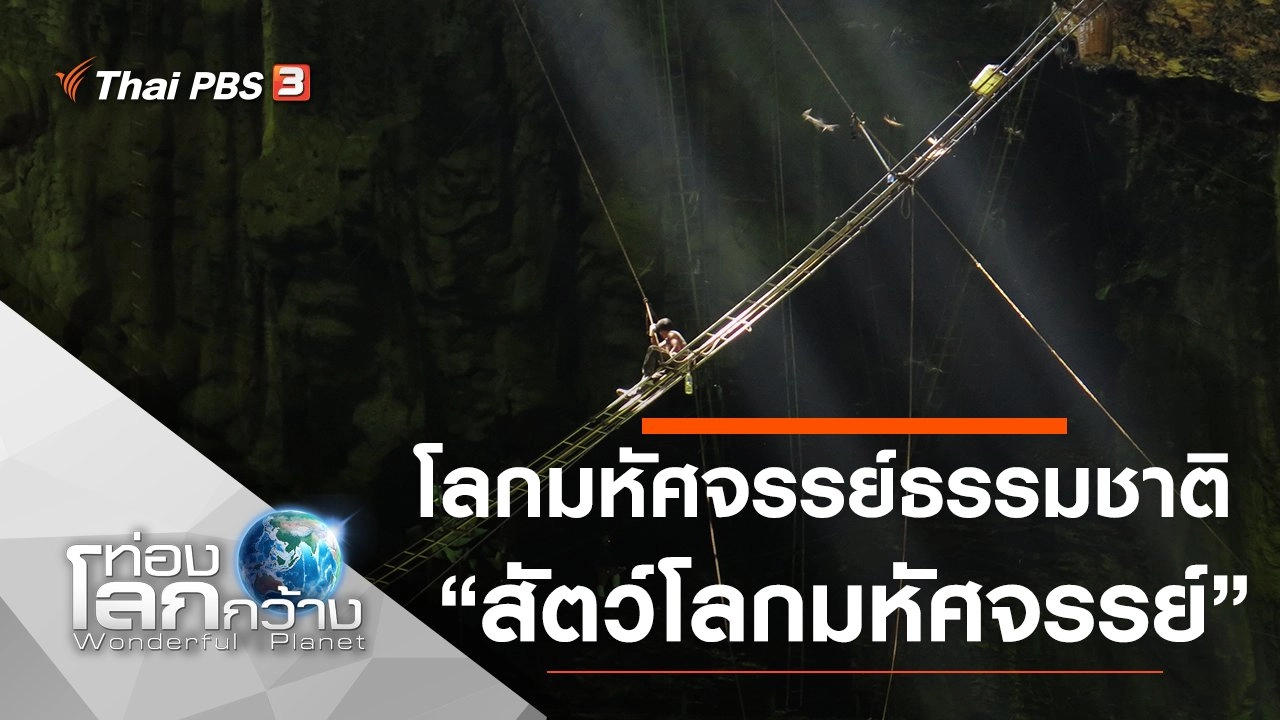 โลกมหัศจรรย์ธรรมชาติ ตอน สัตว์โลกมหัศจรรย์