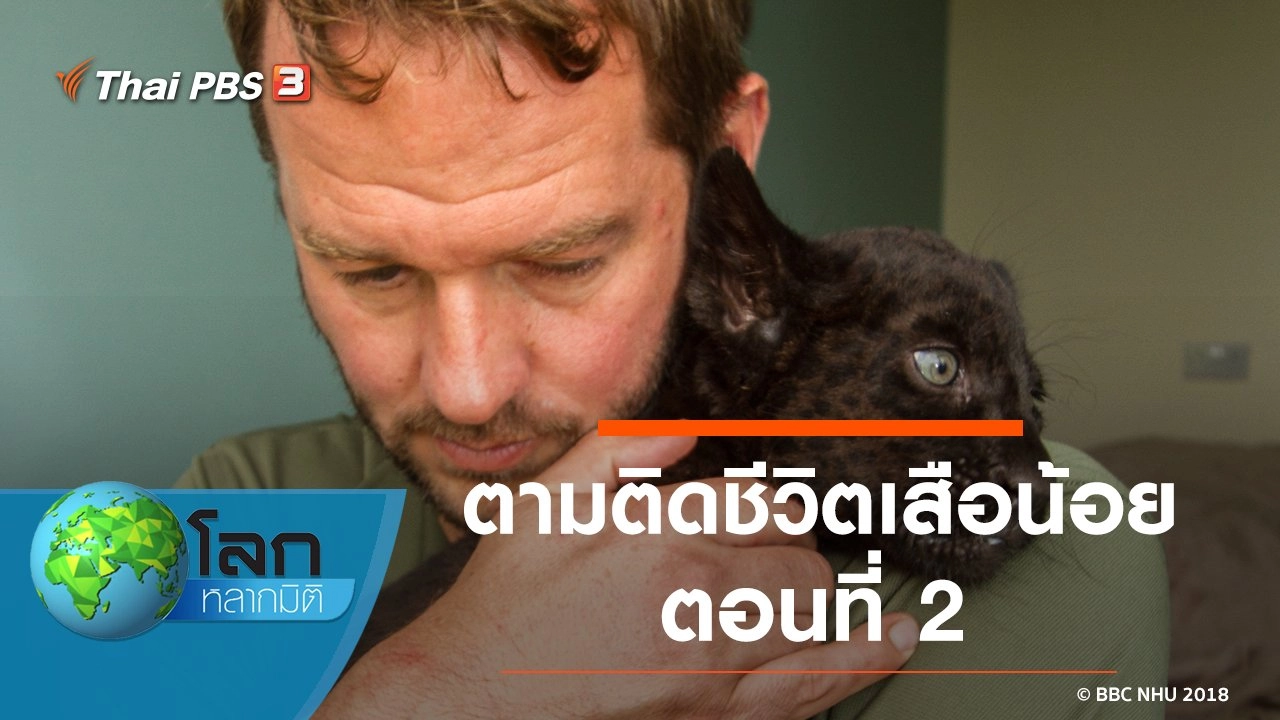 ตามติดชีวิตเสือน้อย ตอนที่ 2