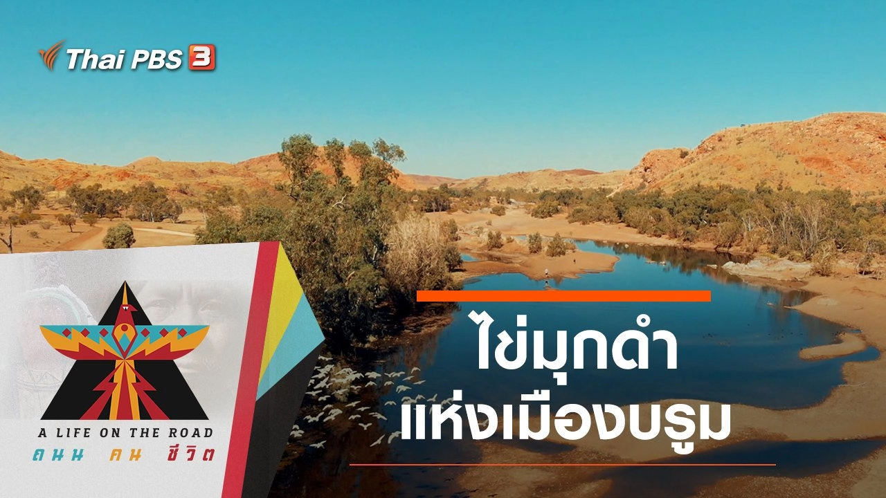 ไข่มุกดำแห่งเมืองบรูม