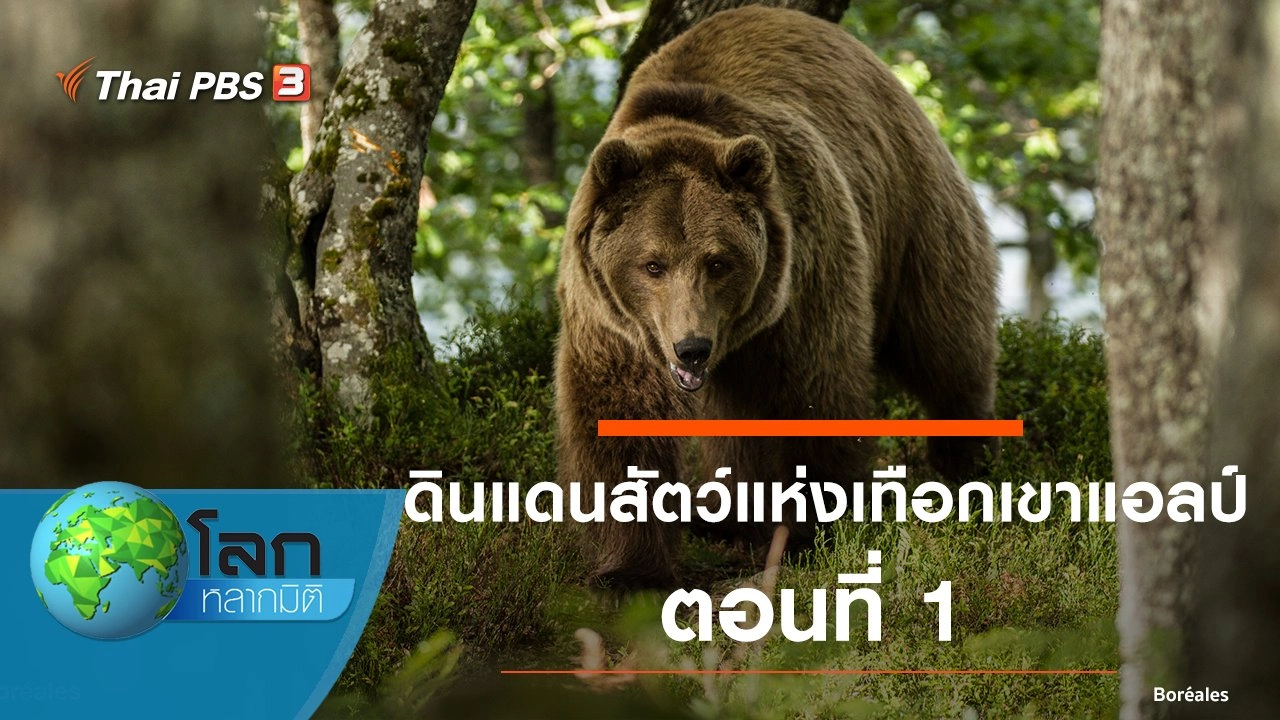 ดินแดนสัตว์แห่งเทือกเขาแอลป์ ตอนที่ 1